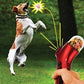 Pet Treat Launcher – Interactive Catapult Feeder Toy for Dogs & Cats