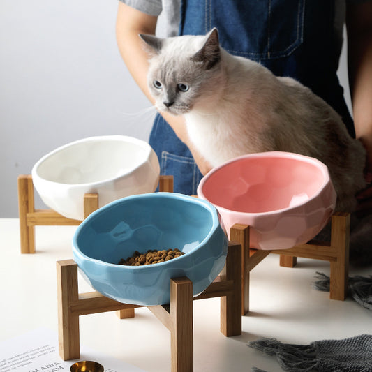 Tilted Pet Bowl – Ergonomic Cat & Dog Feeding Dish
