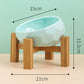 Premium Ceramic Pet Bowl – Stylish & Durable Cat Dish