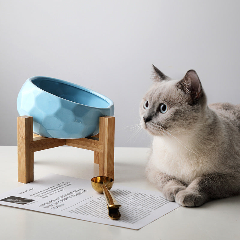 Tilted Pet Bowl – Ergonomic Cat & Dog Feeding Dish
