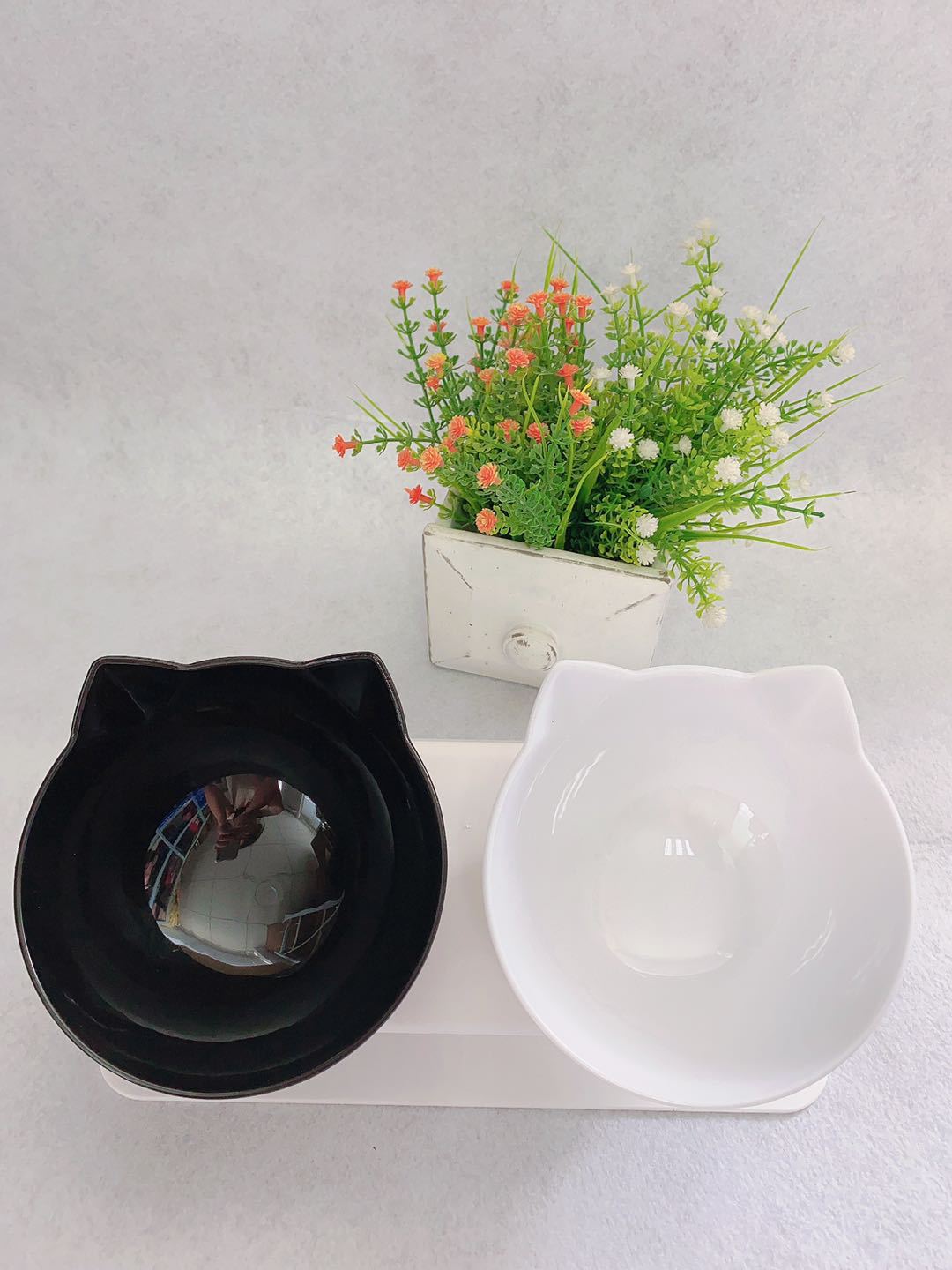 Cat Double Bowl – Elevated Feeding Station for Food & Water